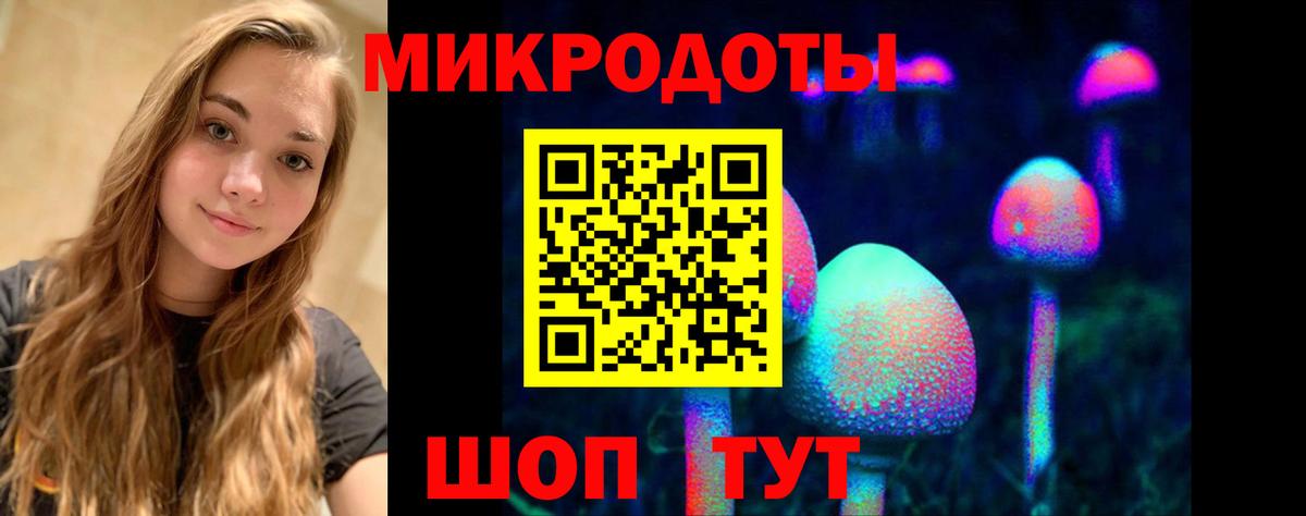 Кизляр  Псилоцибиновые грибы MAGIC MUSHROOMS  Вход с VPN 